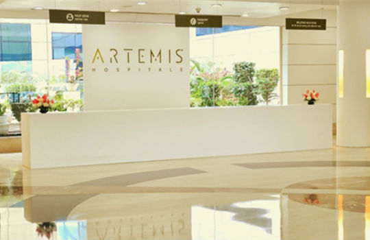 Artemis reception 1