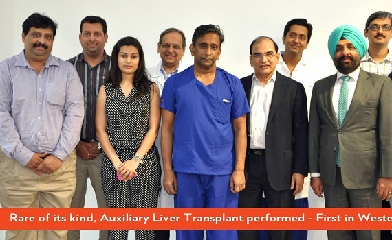 Auxilary liver team 0